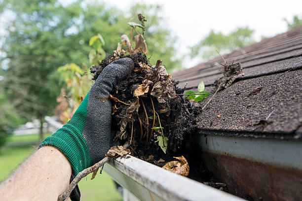Gutter cleaning service in O'ahu